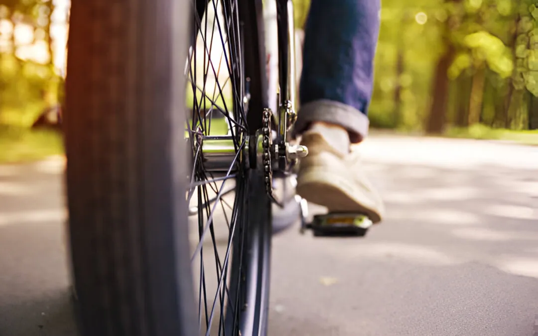 Back of bicycle wheel on bicycle path