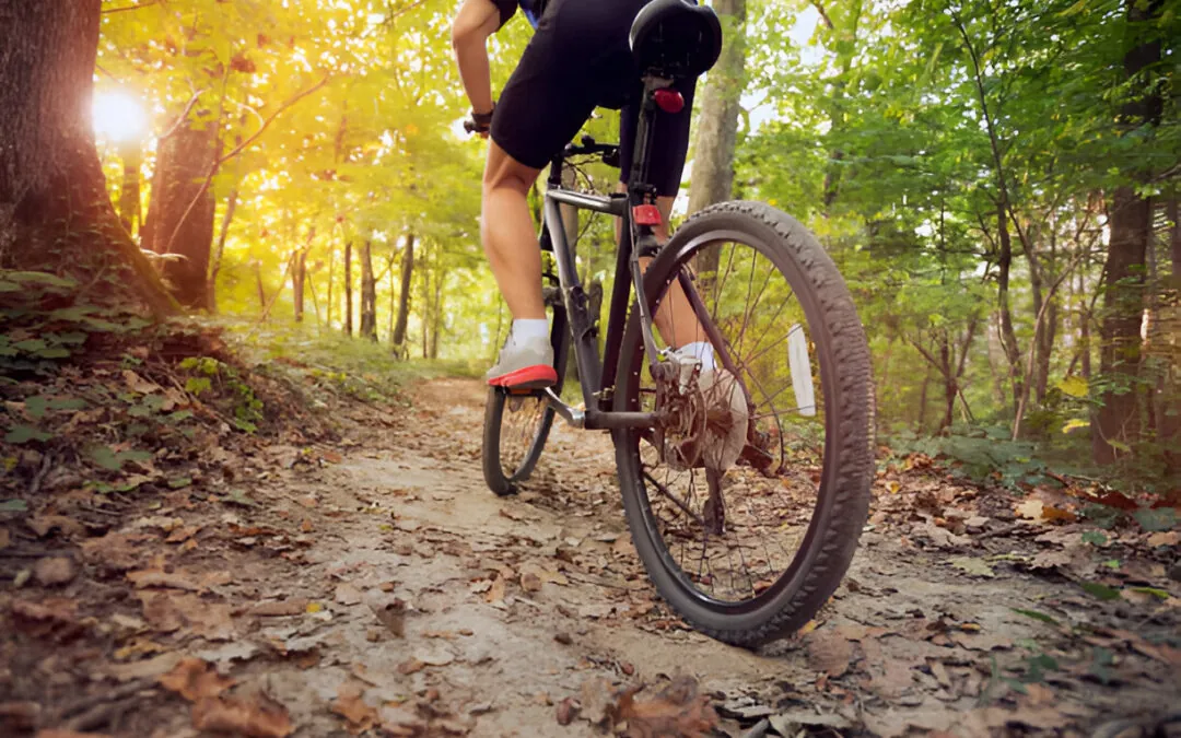 Mountain bike on trail in forest